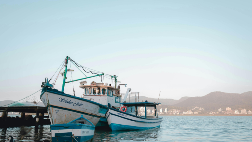 Turismo de pesca em alta: Joel Alves ensina como planejar viagens e aproveitar cada momento à beira d’água.