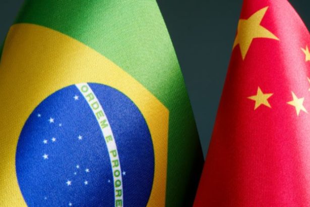 Investimentos chineses no Brasil: oportunidades, riscos e impactos na economia nacional