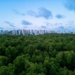 Vista aérea de Fortaleza, com a área urbana integrada a uma extensa faixa de vegetação.