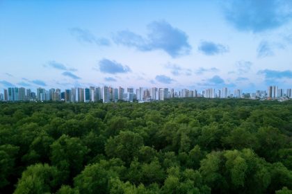 Vista aérea de Fortaleza, com a área urbana integrada a uma extensa faixa de vegetação.