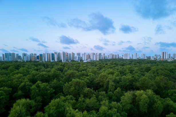 Vista aérea de Fortaleza, com a área urbana integrada a uma extensa faixa de vegetação.