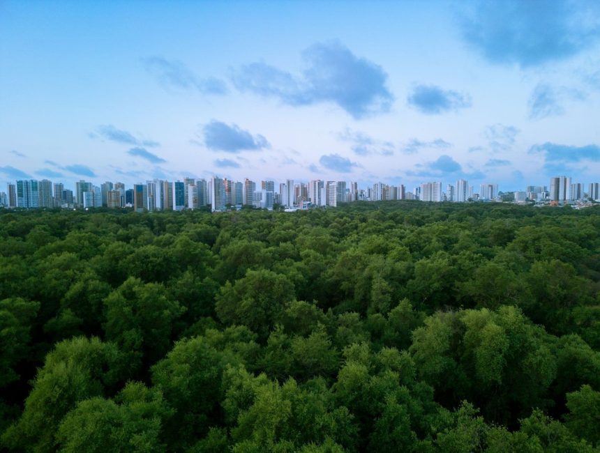 Vista aérea de Fortaleza, com a área urbana integrada a uma extensa faixa de vegetação.