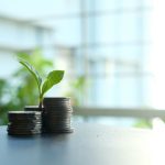 Muda verde brota entre moedas empilhadas, representando investimento e crescimento sustentável.