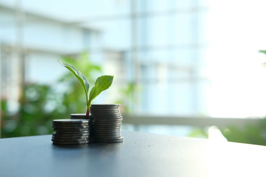 Muda verde brota entre moedas empilhadas, representando investimento e crescimento sustentável.